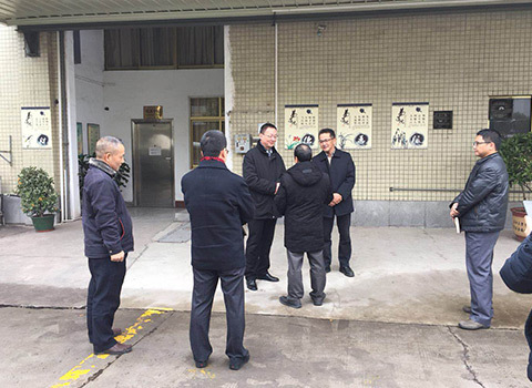 惠州市领导到厂视察